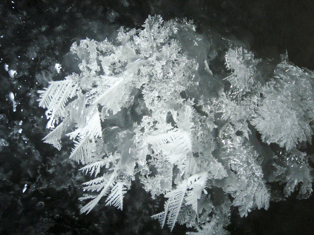 Frost Flowers grown in a lab