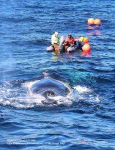 PStap141029_WETfr7865_Mn_RescueBoat_vert_MMHRSP_crop_sm