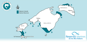 With seven declared marine reserves, the Balearic Islands are Spain’s autonomous region with the most marine protected areas, reaching 49,000 ha in total (18% of inland waters). It sets a good example in the Mediterranean that it is possible to reconcile fishing and marine conservation. Image & caption courtesy Asociación Ondine.