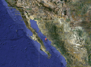 Gulf of CA Mexico