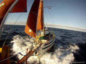 Cutter sailing