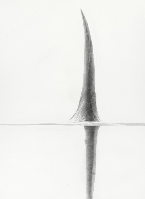 "Fin I" 2011: 60" x 83"; graphite on paper. © Claire Brandt