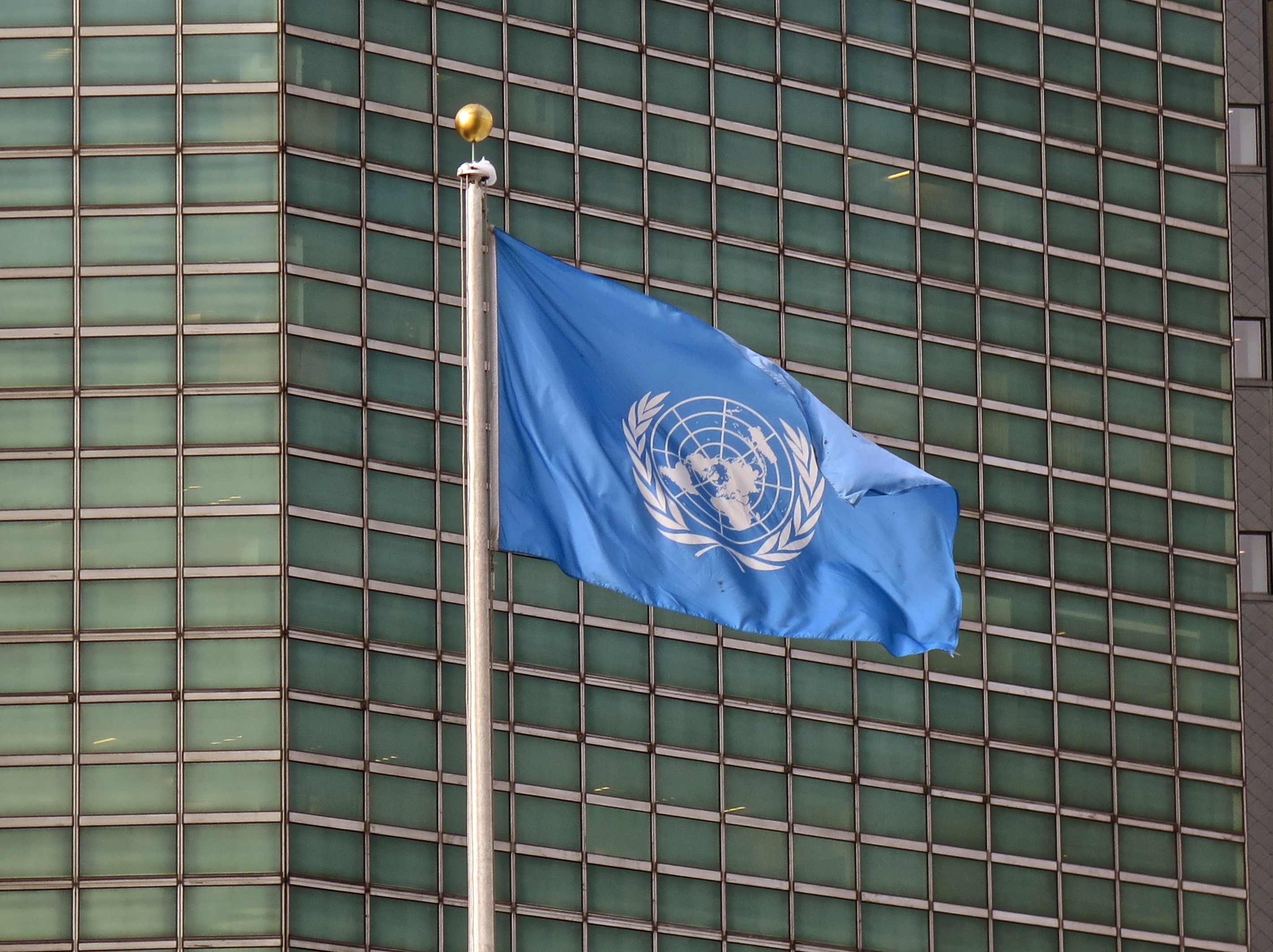 NY UN Flag Feb 2014IMG_2626