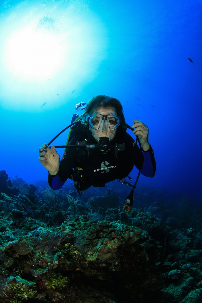 "Razorback" - Wall Dive, Nassau, Bahamas, March 2014 Photo Credit: Stuart Cove, Bahamas