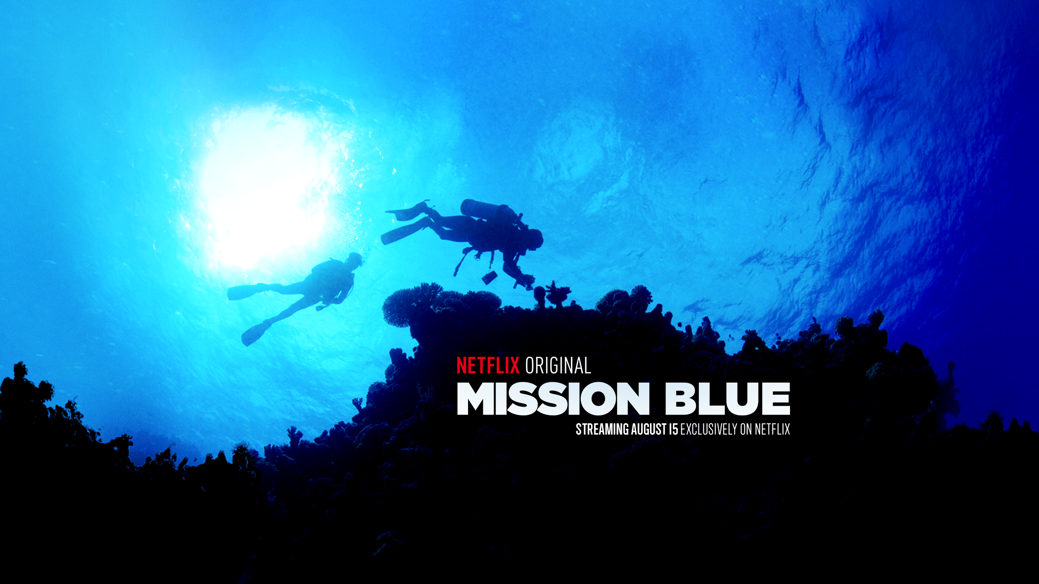Image result for mission blue