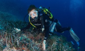 Dr. Sylvia Earle exploring a seagrass bed in the marine protected area of the small island of El Toro off the coast of Mallorca. Photo © Kip Evans for Mission Blue.