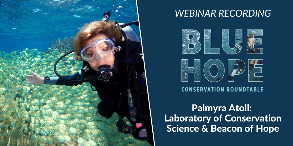 Dr. Sylvia Earle and Palmyra Atoll: Laboratory of Conservation Science & Beacon of Hope